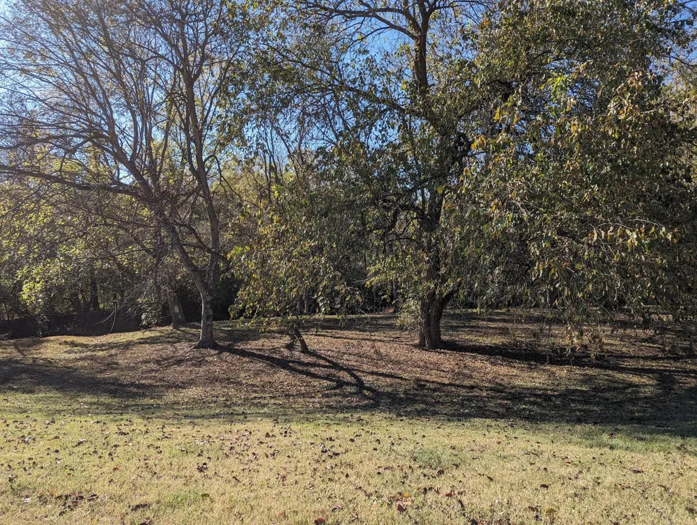 171 Brooke Castle Dr Hermitage, TN 37076