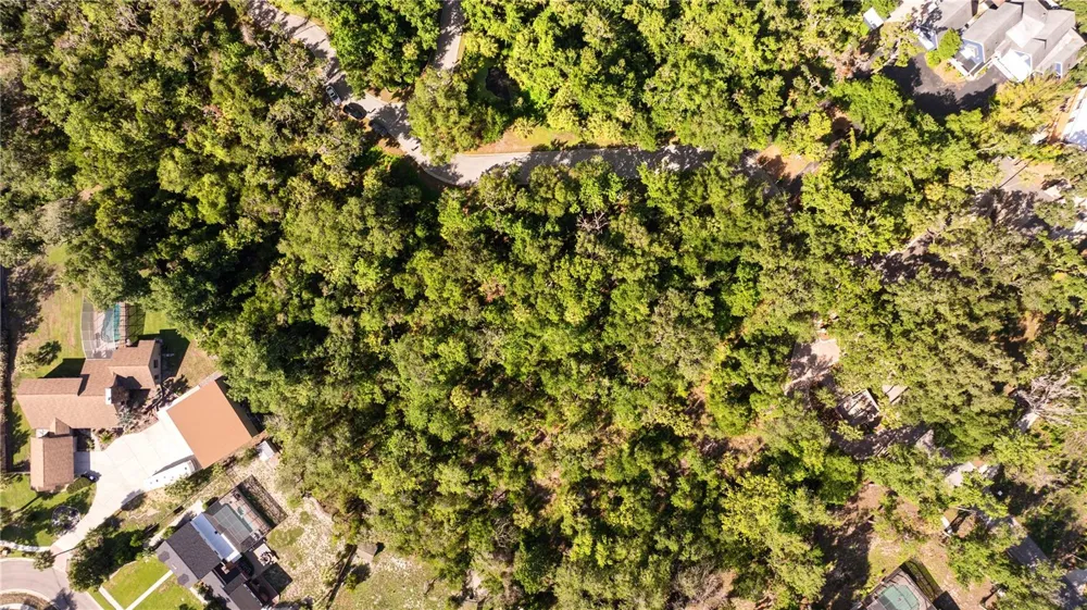 4710 RAMBLING RIVER ROAD Brandon, FL 33511