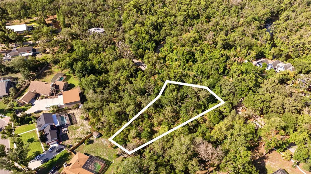 4710 RAMBLING RIVER ROAD Brandon, FL 33511