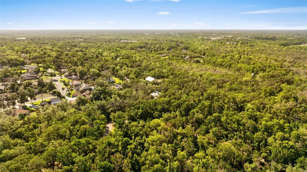 4710 RAMBLING RIVER ROAD Brandon, FL 33511