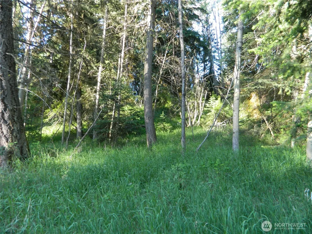 0 TBD Lake View Drive Oroville, WA 98844