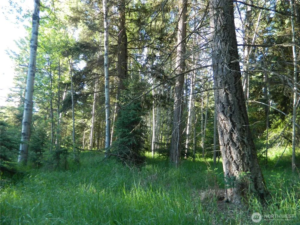 0 TBD Lake View Drive Oroville, WA 98844