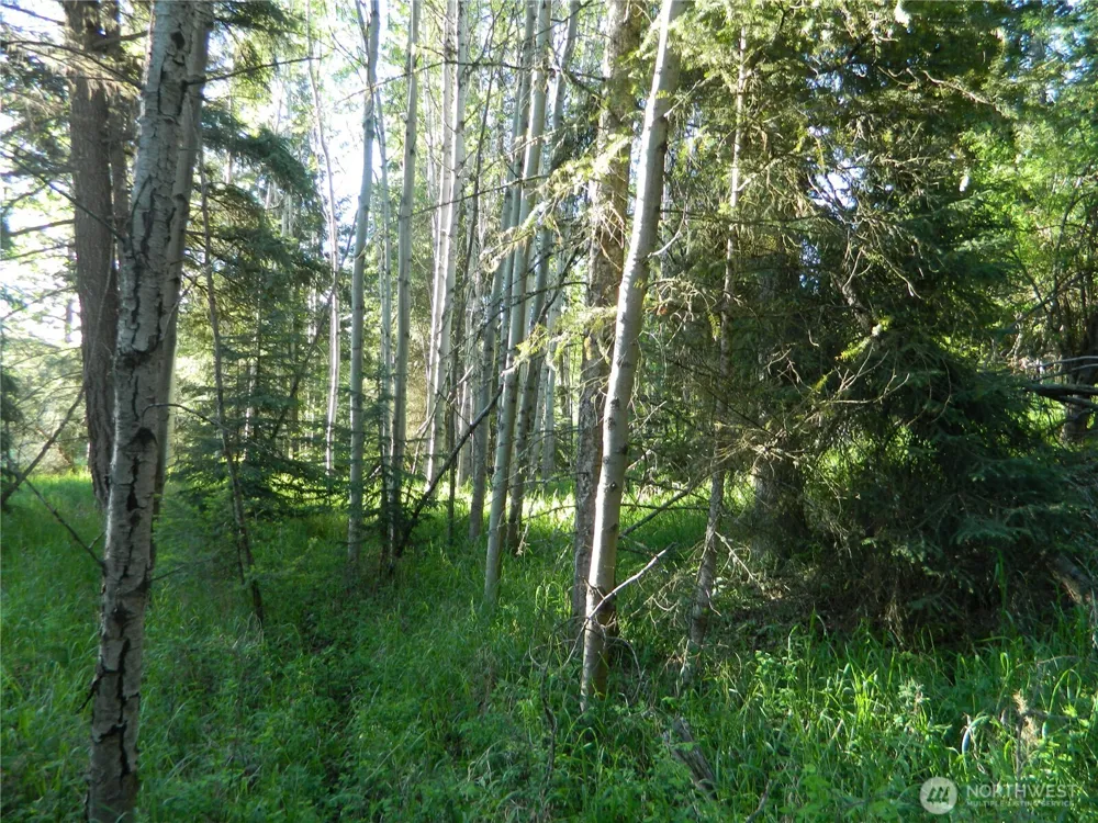 0 TBD Lake View Drive Oroville, WA 98844