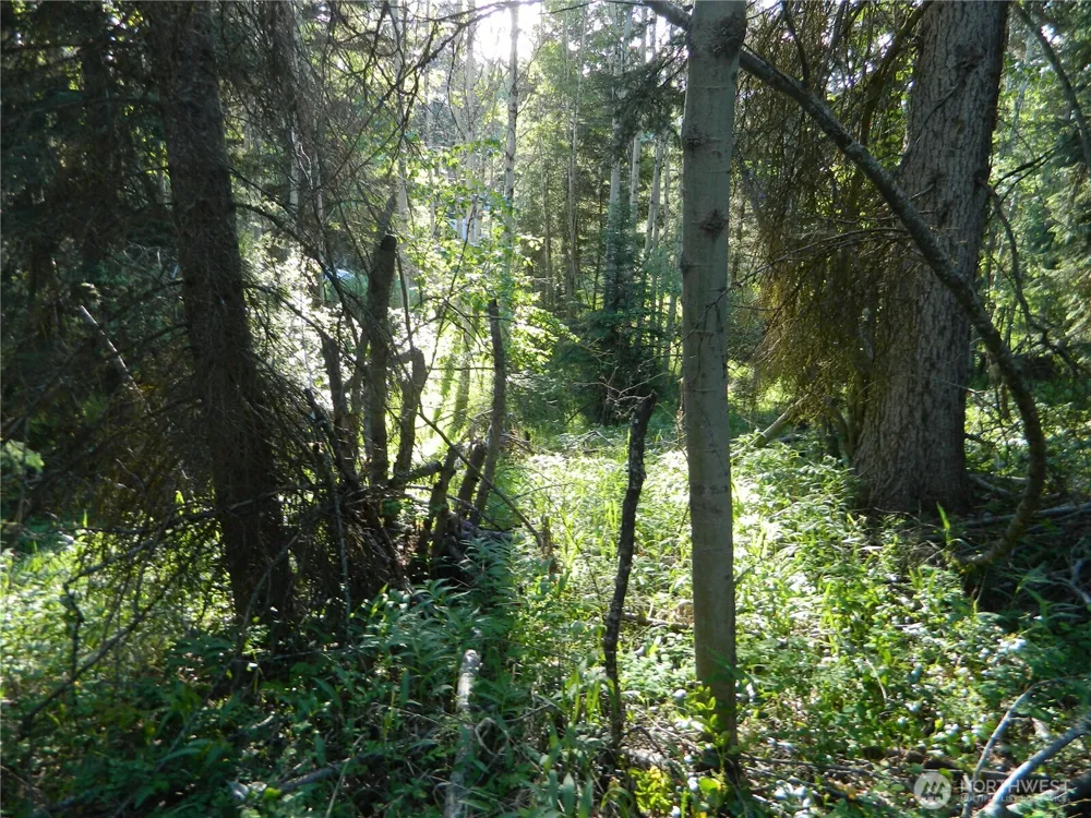 0 TBD Lake View Drive Oroville, WA 98844
