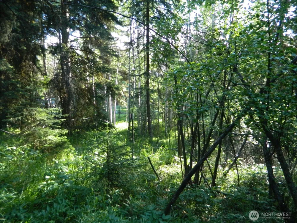 0 TBD Lake View Drive Oroville, WA 98844