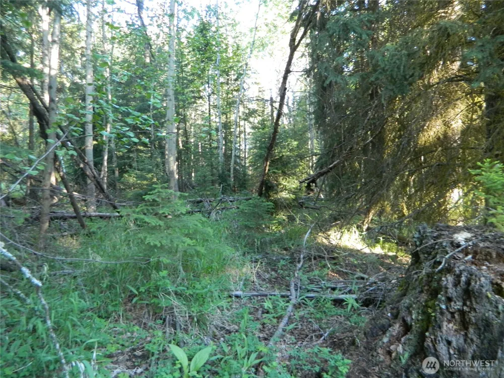 0 TBD Lake View Drive Oroville, WA 98844