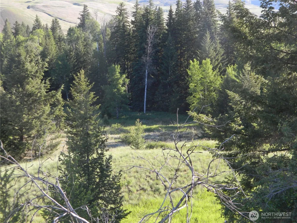 0 TBD Lake View Drive Oroville, WA 98844