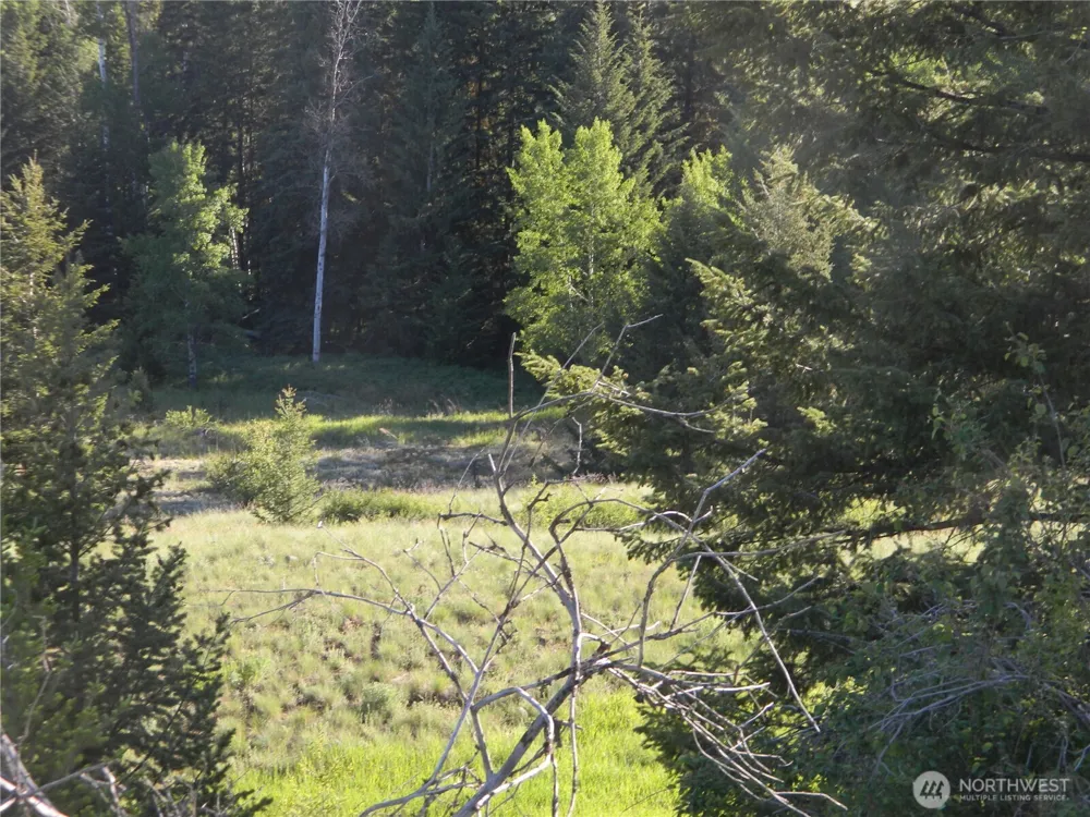 0 TBD Lake View Drive Oroville, WA 98844