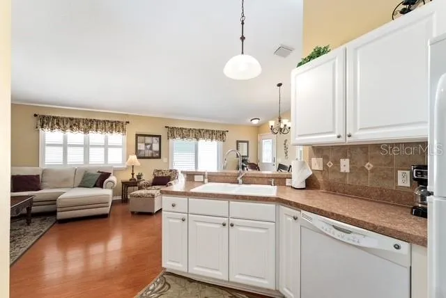 1636 ABASCO COURT The Villages, FL 32162