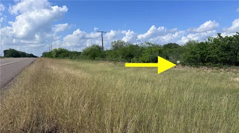 N Highway 281