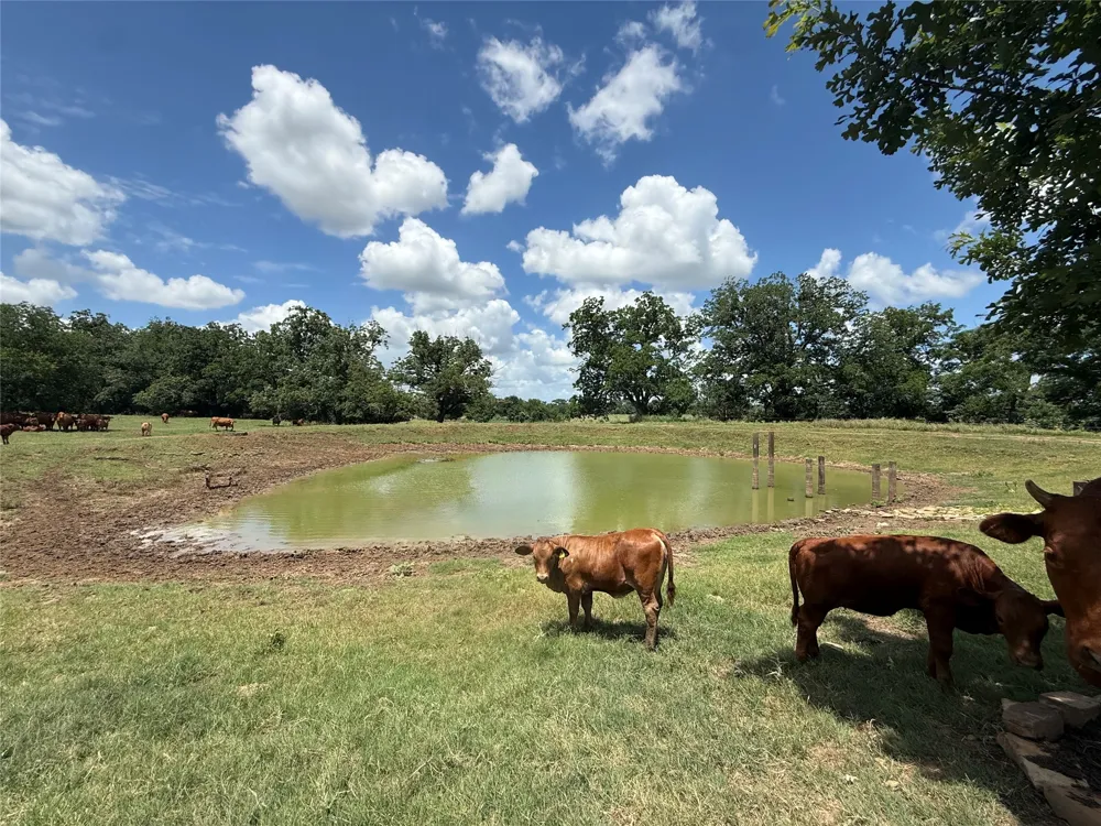 314 FM 2571 Smithville, TX 78957