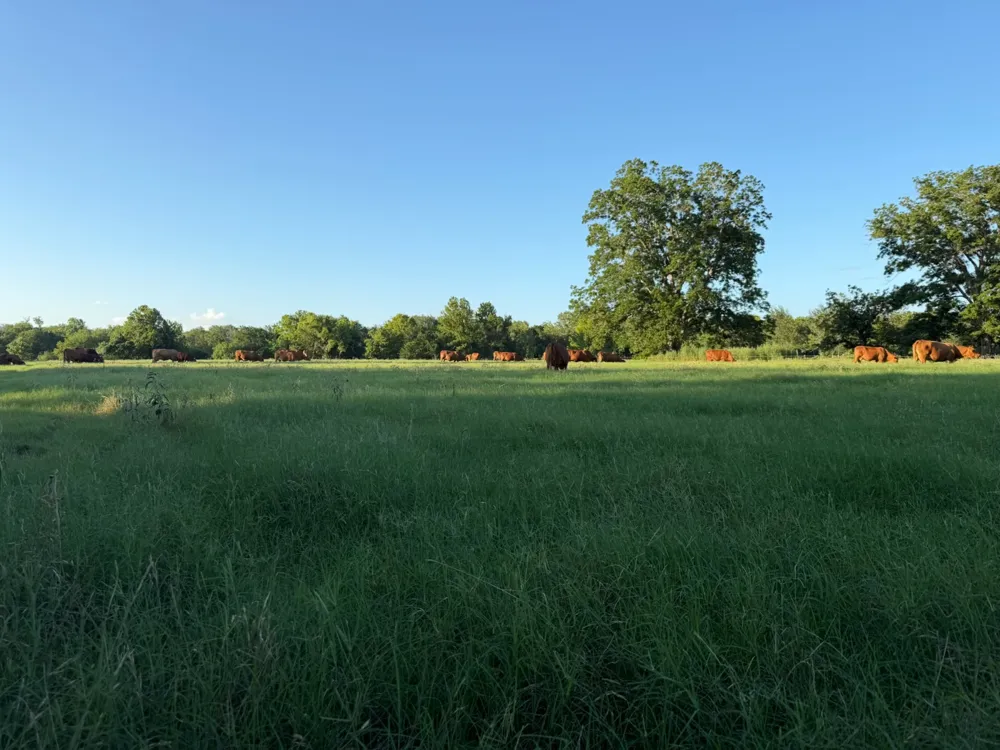314 FM 2571 Smithville, TX 78957