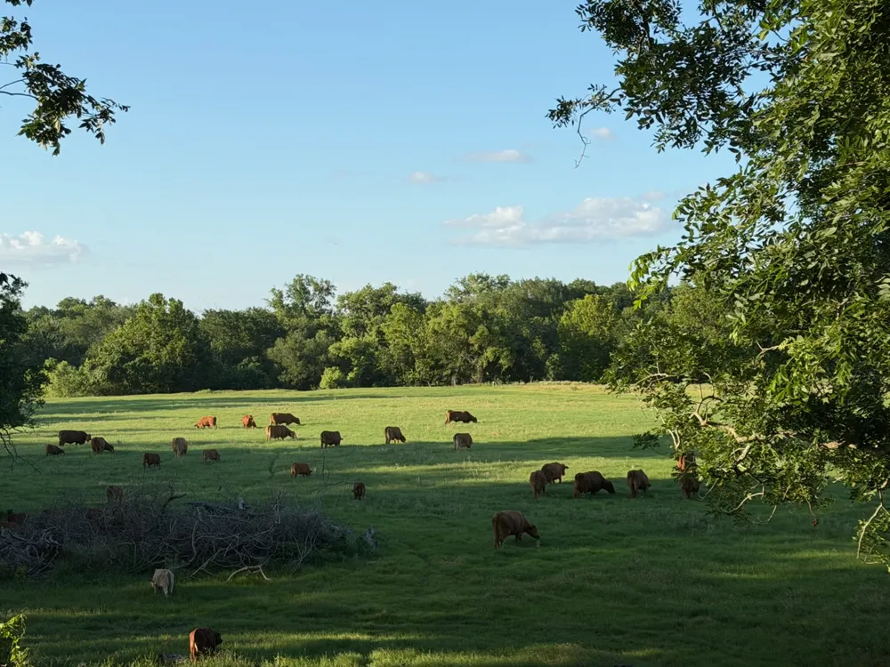 314 FM 2571 Smithville, TX 78957