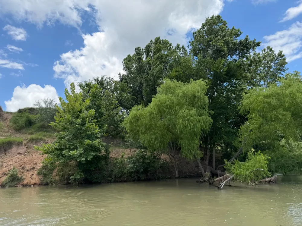 314 FM 2571 Smithville, TX 78957