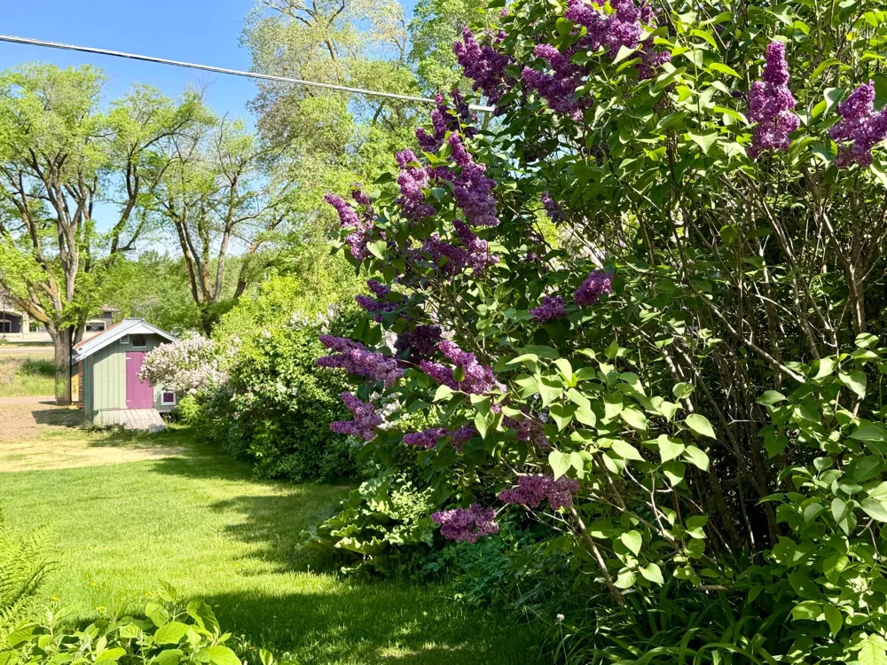 156 Lakeshore Drive Moose Lake, MN 55767