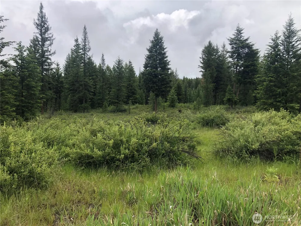36 Corral Drive Oroville, WA 98844