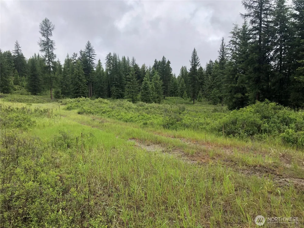 36 Corral Drive Oroville, WA 98844