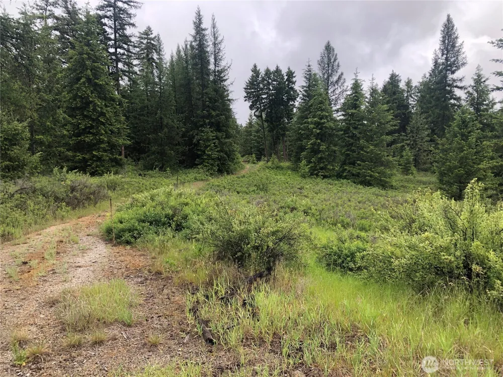 36 Corral Drive Oroville, WA 98844