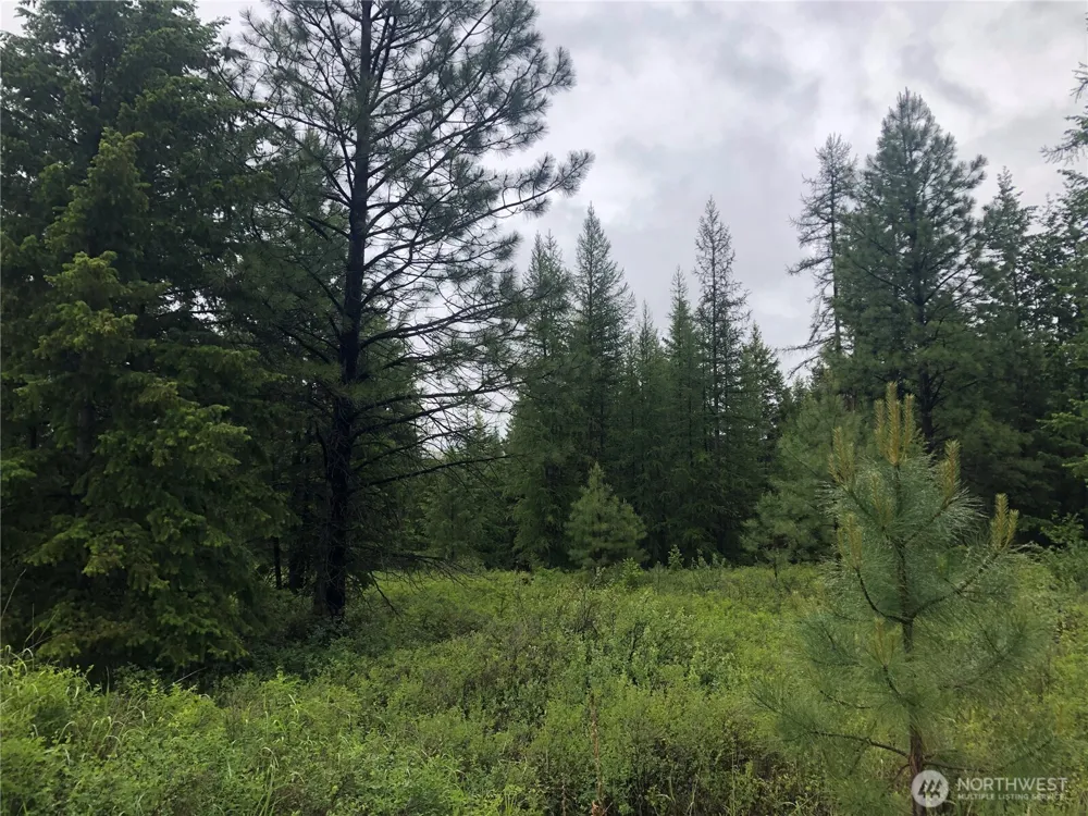 36 Corral Drive Oroville, WA 98844