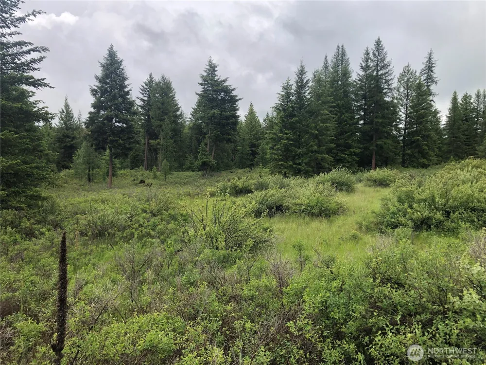 36 Corral Drive Oroville, WA 98844