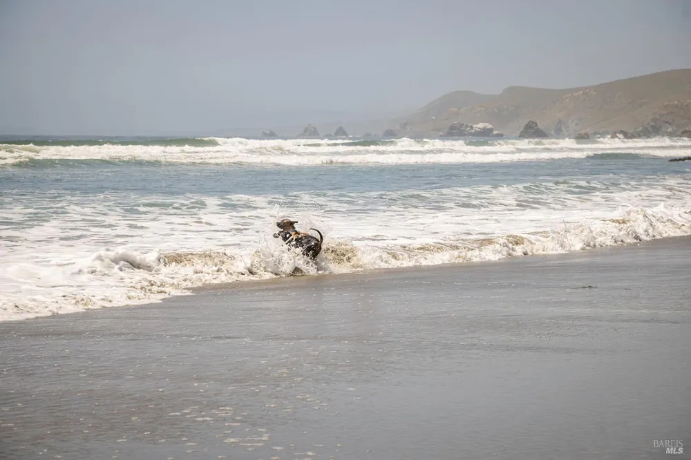 35 Oceana Drive Dillon Beach, CA 94929