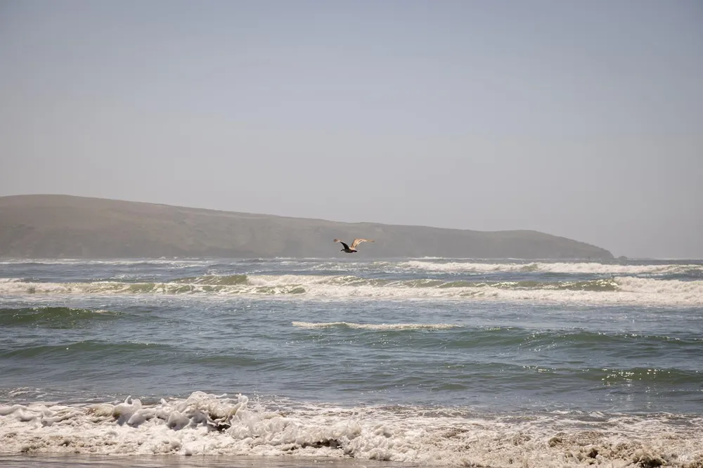 35 Oceana Drive Dillon Beach, CA 94929