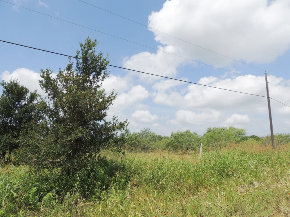 265 Linam Lane Cedar Creek, TX 78612