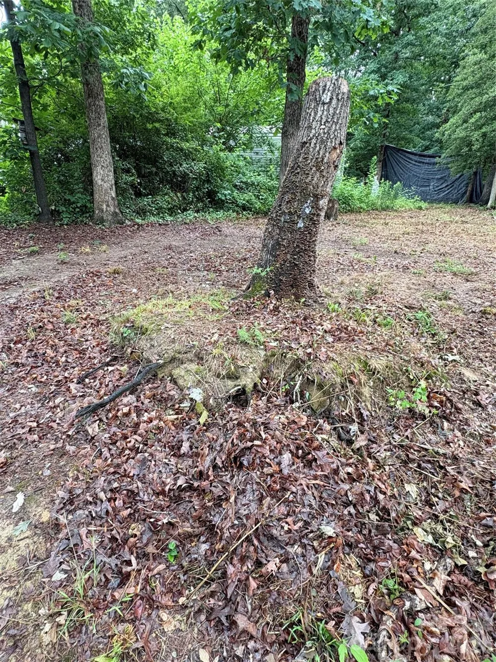 145 Paradise Drive Salisbury, NC 28146