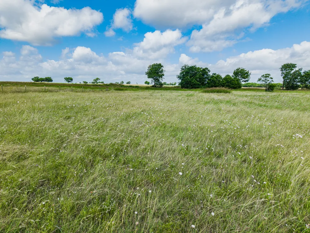 295 Turkey Run Road Crawford, TX 76638