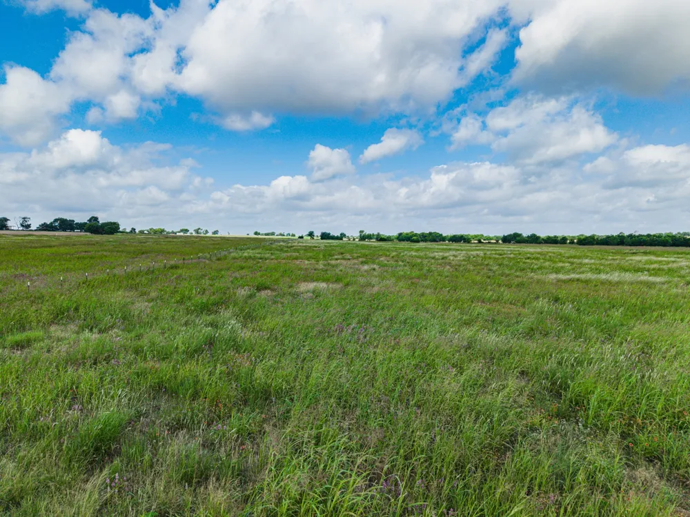 295 Turkey Run Road Crawford, TX 76638