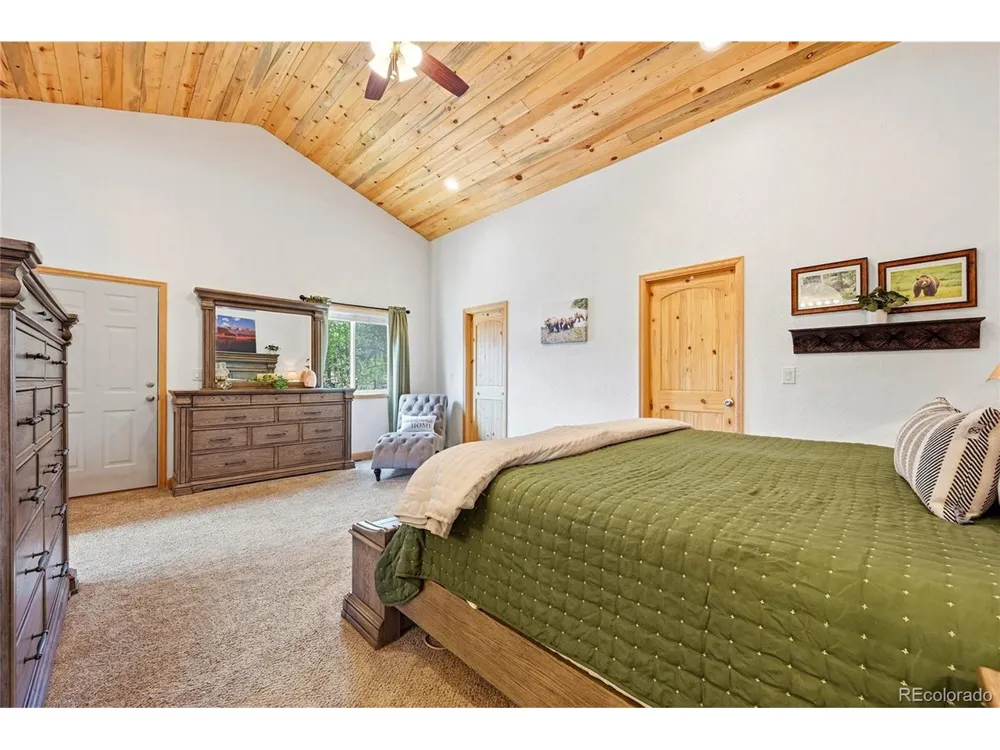 705 Gold Flake Terrace Bailey, CO 80421