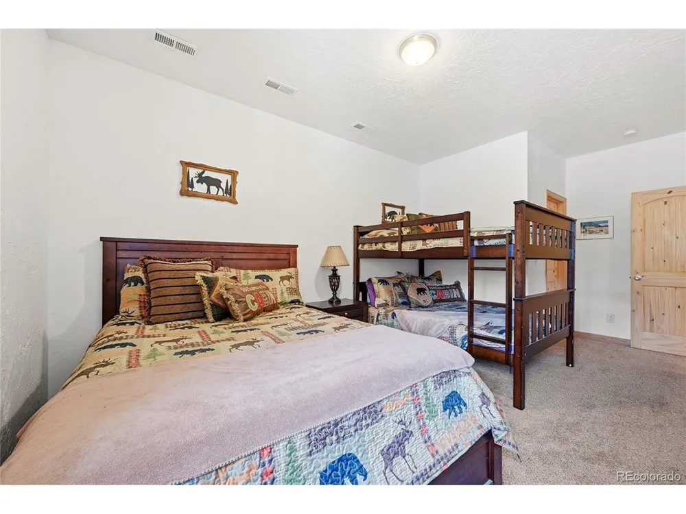 705 Gold Flake Terrace Bailey, CO 80421
