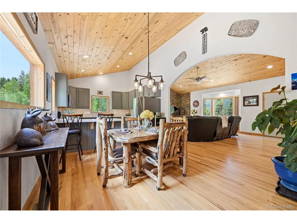 705 Gold Flake Terrace Bailey, CO 80421