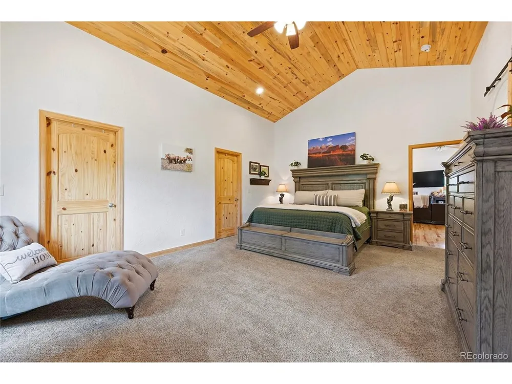 705 Gold Flake Terrace Bailey, CO 80421