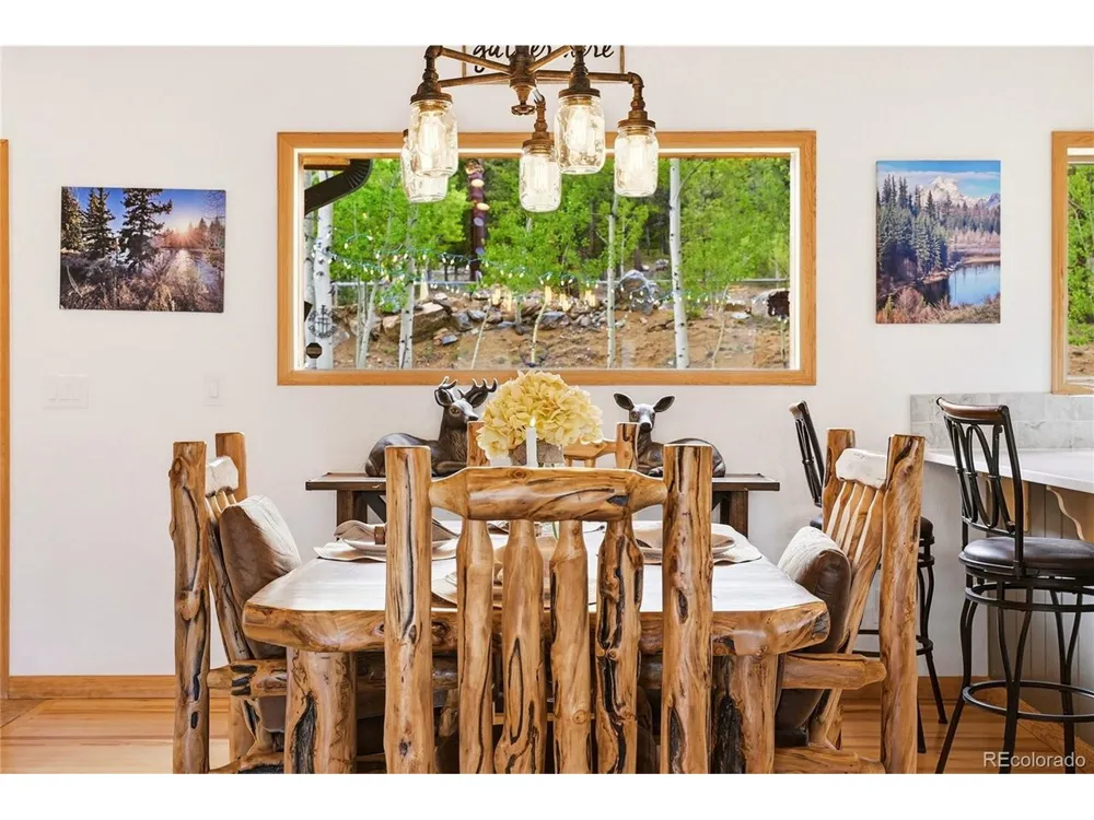 705 Gold Flake Terrace Bailey, CO 80421