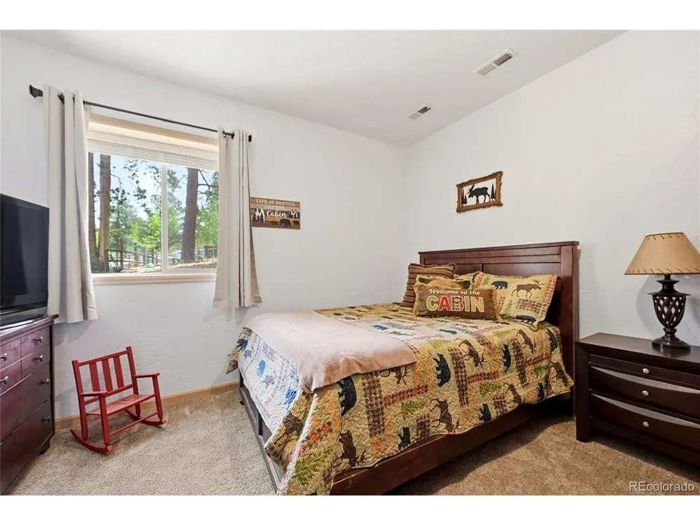 705 Gold Flake Terrace Bailey, CO 80421