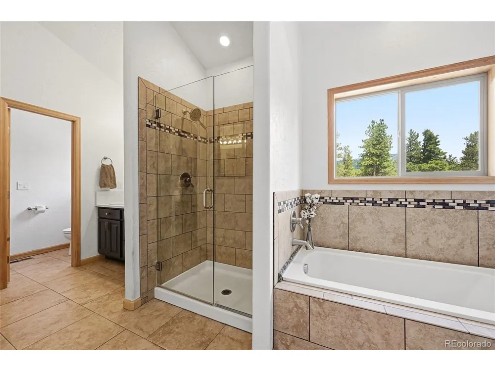 705 Gold Flake Terrace Bailey, CO 80421