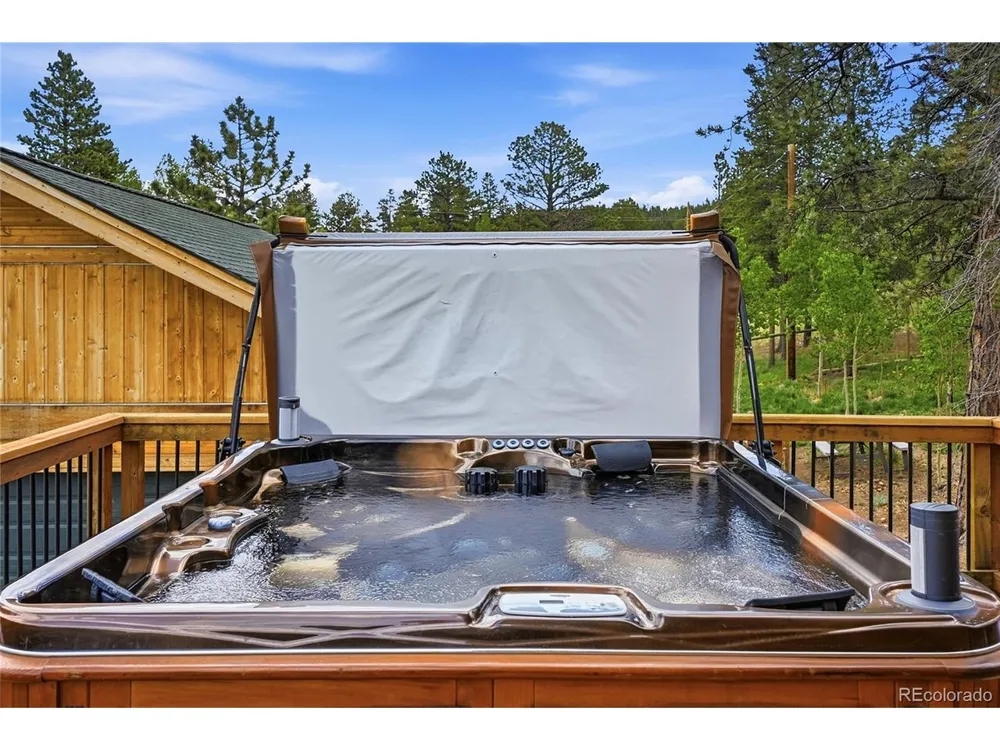 705 Gold Flake Terrace Bailey, CO 80421