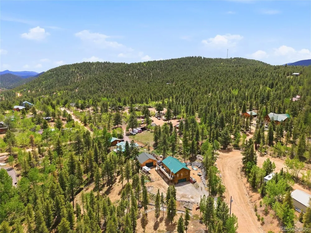 705 Gold Flake Terrace Bailey, CO 80421
