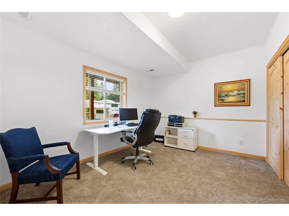 705 Gold Flake Terrace Bailey, CO 80421
