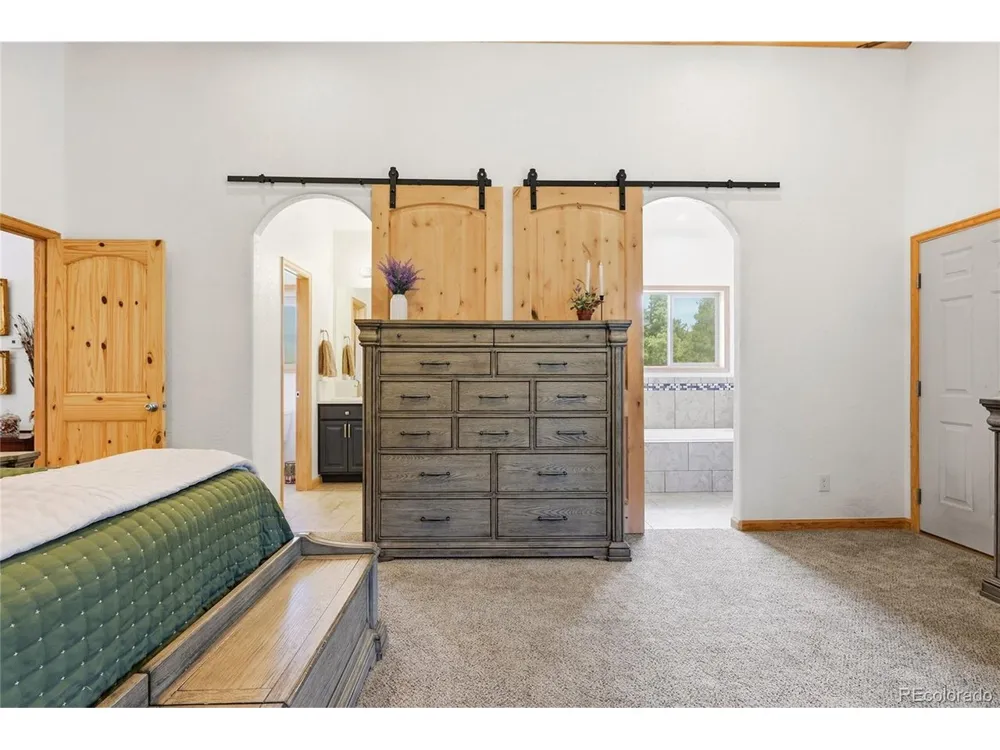 705 Gold Flake Terrace Bailey, CO 80421