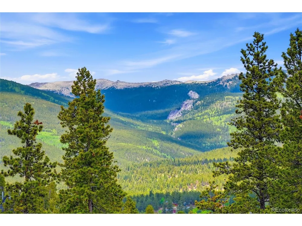 705 Gold Flake Terrace Bailey, CO 80421