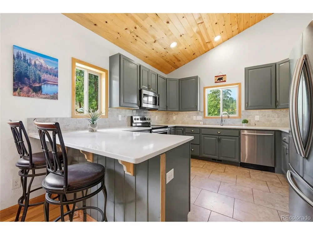705 Gold Flake Terrace Bailey, CO 80421
