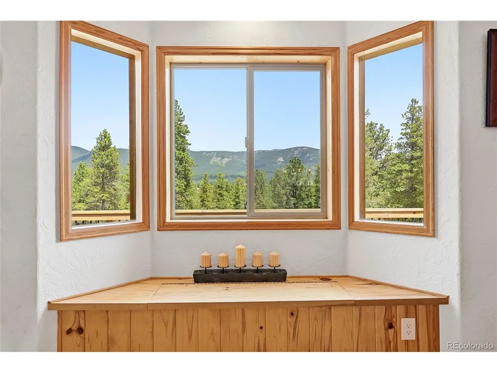 705 Gold Flake Terrace Bailey, CO 80421