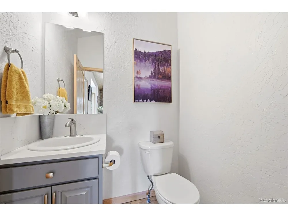 705 Gold Flake Terrace Bailey, CO 80421