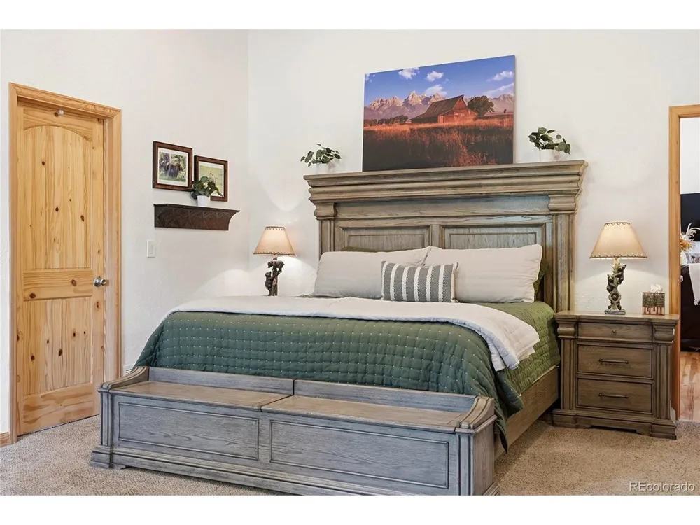 705 Gold Flake Terrace Bailey, CO 80421