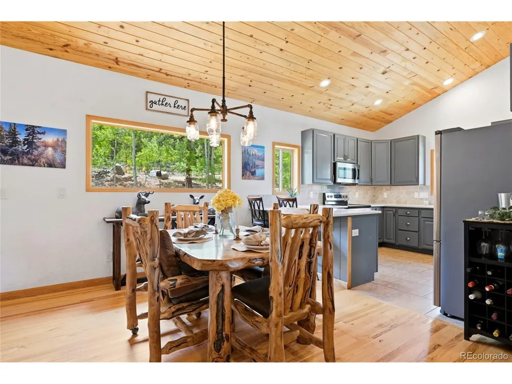 705 Gold Flake Terrace Bailey, CO 80421