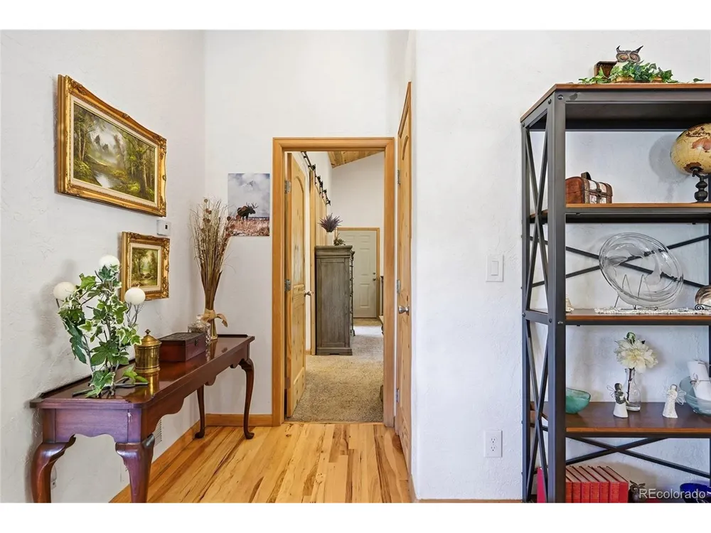 705 Gold Flake Terrace Bailey, CO 80421