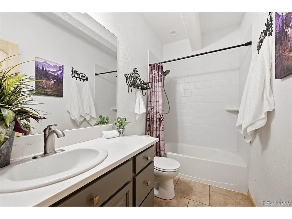 705 Gold Flake Terrace Bailey, CO 80421