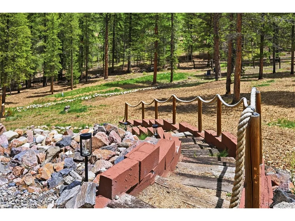 705 Gold Flake Terrace Bailey, CO 80421